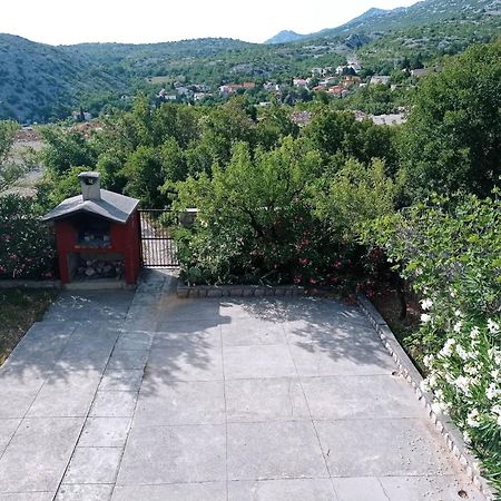 Villa Alexa Cesarica Ngoại thất bức ảnh